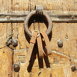 vue posee ceinture boucle or cuir daim camel jules & jenn